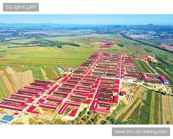 体育扶贫：地方体育项目助力乡村振兴实践报告，关于体育扶贫工程的实施意见