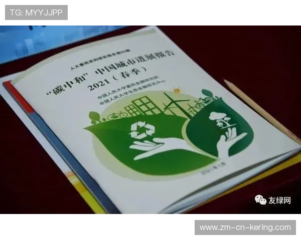 体育赛事的可持续性：绿色场馆与低碳运营，体育赛事可持续发展策略建议