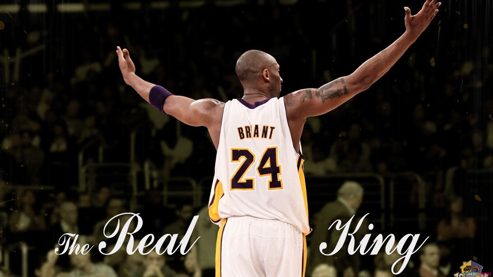 开云体育官网-电竞内容创作热潮不断选手自媒体影响力飙升，知名电竞媒体